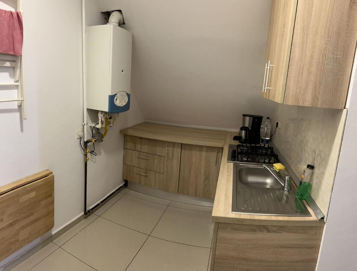 Chez Ana Apartment Otopeni Ngoại thất bức ảnh