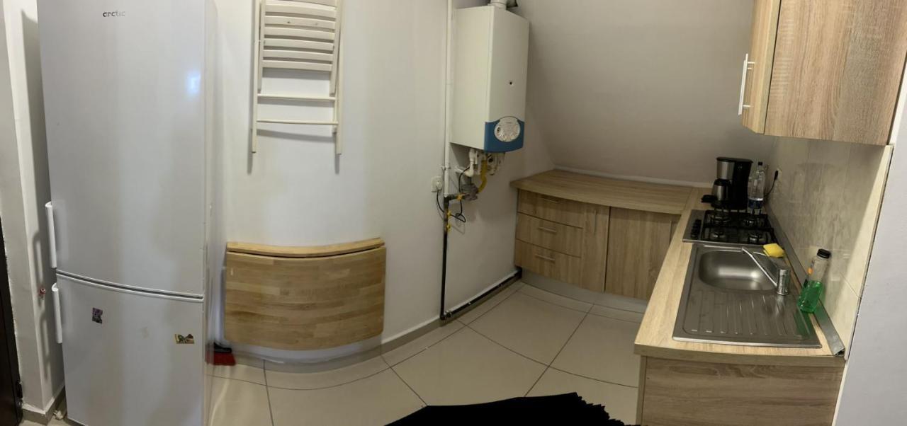 Chez Ana Apartment Otopeni Ngoại thất bức ảnh